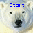 A polar bear's face appears in four with blue text above each: Start, Global, Cooling, and a blank