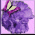 Purple helmet-shaped icon with pink and green butterfly on top, white cursive text across front, light purple background.