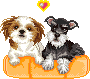 Two pixelated dogs sit on an orange cushion; a yellow heart symbol appears above the left dog in one frame, while a yellow exclamation mark replaces it in another.