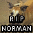 A four- shows a dog's face with text overlays; the top-left displays 'R.I.P NORMAN' while the bottom-left shows '3/18/08', and the right are empty
