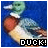 iconhell_fizzymayo_DUCK