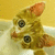 A pixelated cat with orange ears and brown fur sits in a white sink against a yellow background, displaying two expressions with text below.