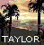 Pixelated static image of a beach scene with silhouetted trees against a sunset sky, featuring the name 'TAYLOR' in large white block letters at the bottom.
