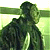 Two pixelated animated frames of a character in dark clothing and hat against green background, left frame shows side profile with raised arm, right frame shows front-facing pose with hand near chest.