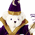 A pixelated cartoon bear dressed as a wizard with a purple hat and robe, holding a staff, next to green text reading "Original Icons .com" on a dark background.