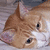 Pixelated close-up of a light brown cat's face with closed eyes, pink inner ears, and dark pupils visible in one eye.
