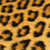 Animals icons for AIM, MSN, MySpace and Yahoo