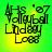 Green and yellow pixelated text reads 'HS '07 Volleyball Lindsey Loos' in four identical with slight color variations