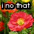Pixelated floral background with four black text boxes containing white lowercase letters spelling 'i no that you're over the flowers' across a