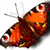 Animals icons for AIM, MSN, MySpace and Yahoo