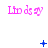 Animated sequence of pink 'Lindsay' text with blue symbols changing above and below the text across three