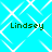 A static image with a bright cyan background featuring white geometric lines forming diamond shapes, overlaid with four instances of the name "Lindsey" in dark green pixelated text.