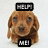 Pixelated brown dog face with floppy ears, two black rectangular text boxes above and below the head containing partial white text.