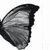 Pixelated grayscale icon of a butterfly wing with dark outline and gradient shading, cropped to show only the upper portion against white background.