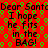 Red background with green pixelated patterns and repeated black text reading 'Dear Santa I hope he fits in the BAG!' across multiple
