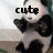 Animated panda icon with black and white fur, bow tie, and 'cute' text on left frame; right frame shows no text.