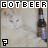 Animated contact sheet showing 10 frames of a cat with beer bottles, each frame displaying the text "GOTBEER" in pixelated font above the cat and bottle props.