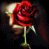 A single red rose with green stem and leaves against a dark background, rendered in pixelated style.