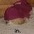 A pixelated image of a cat-like creature wearing a maroon hood, with text reading 'in.', 'the.', and 'hood.' appearing sequentially below it.