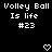 Pixelated text reads "Volley Ball Volley Ball Is life Is life #23 #23" with two heart symbols below on a black background.