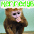 A four- shows a brown monkey with white face and hands, each displaying different green text above or below the monkey