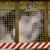Static pixelated image showing a figure behind a barrier with red-and-white striped tape at the bottom.