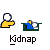 pixelated icons showing a yellow figure with white head interacting with blue and green shapes, each labeled 'Kidnap' below