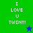 Green and blue pixelated display "I LOVE U TWIN!!!" text with a star icon changing color between frames
