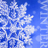 A static image of a snowflake with white crystalline branches against a blue gradient background, with the word "WINTER" vertically aligned on the right side.
