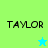 Four display 'TAYLOR' text with star symbols on green and blue backgrounds