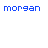 A sequence of blue and red pixelated text fragments forming 'morgan' , with the final frame displaying 'morgan' in solid red