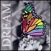 Static pixel art of a rainbow-colored butterfly with green head and black-and-white checkered wing edges, positioned over a gray fabric background with vertical white text reading DREAM.