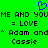 Green background with blue pixelated heart symbol above black text reading "ME AND YOUME AND YOU = LOVE = LOVE * Adam and* Adam and Cassie Cassie".