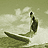 Pixelated static image of a surfer riding a wave on a greenish background with white cloud-like shapes.