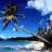 Four distinct beach and sunset scenes arranged in a , each with pixelated tropical imagery including palm trees, rocky cliffs, ocean waves, and silhouetted landforms against colorful skies