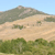 Pixelated landscape with rolling hills, sparse trees, and a clear blue sky under low-resolution rendering.