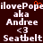 Pixelated text displays 'ilovePope' with a red heart symbol, 'aka Andre', '<3', and 'Seatbelt' on a dark brown background.