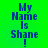 Blue pixelated text on bright green background reads 'My Name Is Shane!' with a single exclamation mark.