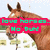 Brown horse head with upright ears against light blue background, overlaid by bright pink banner with green pixelated text.