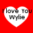 Four white heart shapes on a red background, each containing the text "I love You Wylie" in black pixelated font.