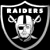 Pixelated shield-shaped icon with 'RAIDERS' text above a skull and crossed bones, next to green background with 'Original Icons .com' in bright green script.