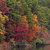 A pixelated static image with a blurred, abstract composition of warm and cool tones including reds, oranges, greens, and browns, lacking distinct subjects or text.