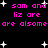 Black background with pink pixelated text repeating 'sam and liz are are alsome' surrounded by white star shapes.