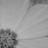 A grayscale static image with a diagonal light-to-dark gradient background and two dark pixel clusters in the lower-left corner.