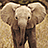 Pixelated elephant head with large ears and trunk against textured background, pink '88' text on yellow