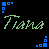 Green cursive text "Tiana" appears repeatedly on a black background with blue pixel clusters at corners and edges, some instances partially obscured by gray overlay.