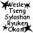 Black-and-white pixelated icons display names with star symbols, showing animation changes in star positions and text clarity across frames.