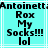Pixelated text on cyan background with white lines, displaying 'Antoinett Rox My Socks!!! lol' in black block letters