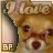 A pixelated chihuahua dog with brown fur and dark eyes appears in a of six , each showing different text above its head