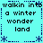 A cyan background displays repeated text "walkin into a winter wonder land" in black pixelated font, bordered by blue dashed lines and star-like symbols.